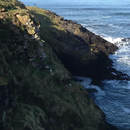 酒店 Holyrood - Leisure Centre & The At Orchids 班多伦