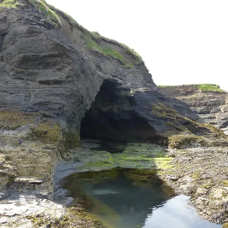 酒店 Holyrood - Leisure Centre & The At Orchids 班多伦