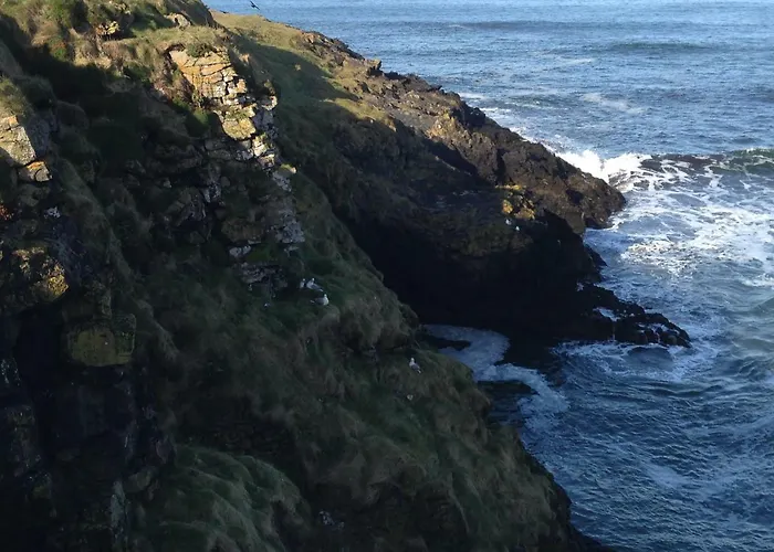 Hotell Holyrood - Leisure Centre & The At Orchids Bundoran