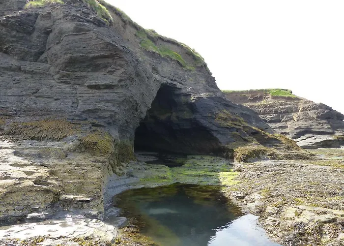 酒店 Holyrood - Leisure Centre & The At Orchids 班多伦